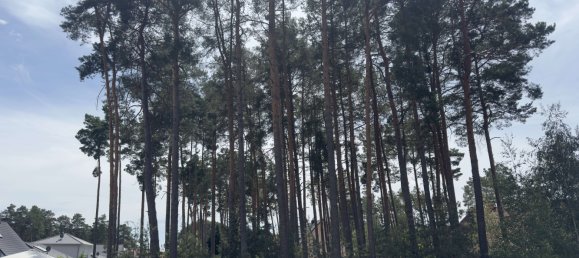 Grundstück in Potsdam-Mittelmark, Germany, Nr. 235261 2