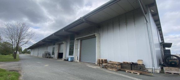 5573m² Warehouse in Heiligenkreuz im Lafnitztal, Austria No. 139422 9