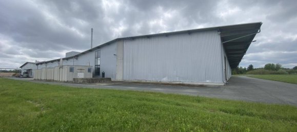 5573m² Warehouse in Heiligenkreuz im Lafnitztal, Austria No. 139422 7