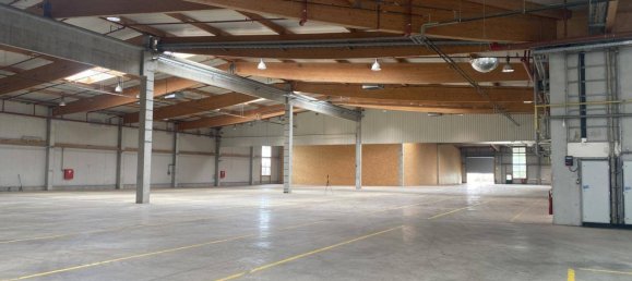 5573m² Warehouse in Heiligenkreuz im Lafnitztal, Austria No. 139422 3