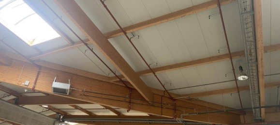 5573m² Warehouse in Heiligenkreuz im Lafnitztal, Austria No. 139422 11