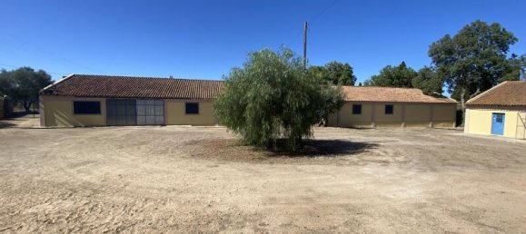 3 bedrooms Land in Beja, Portugal No. 218692 33