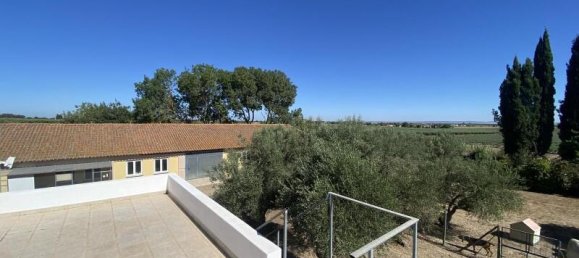 3 bedrooms Land in Beja, Portugal No. 218692 30