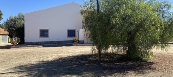 3 bedrooms Land in Beja, Portugal No. 218692 23