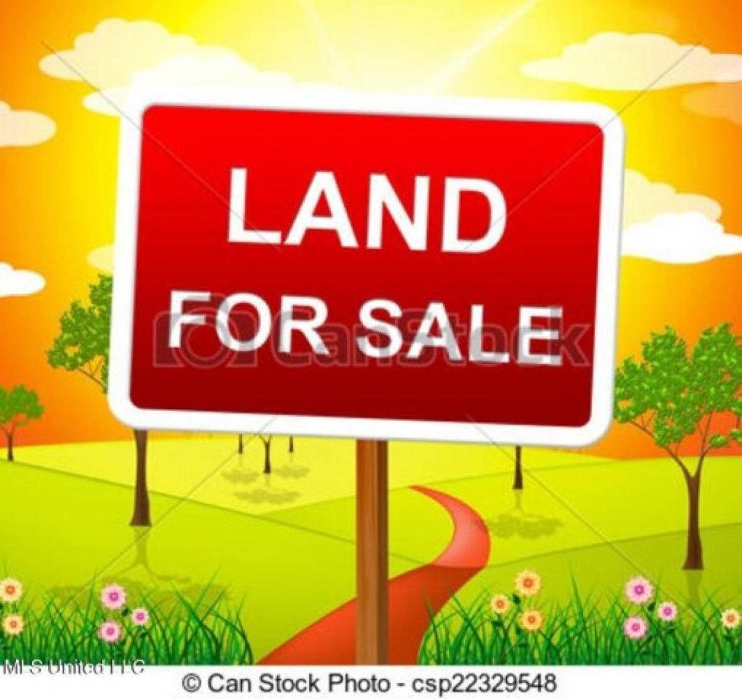  Land in Hernando, USA No. 546682