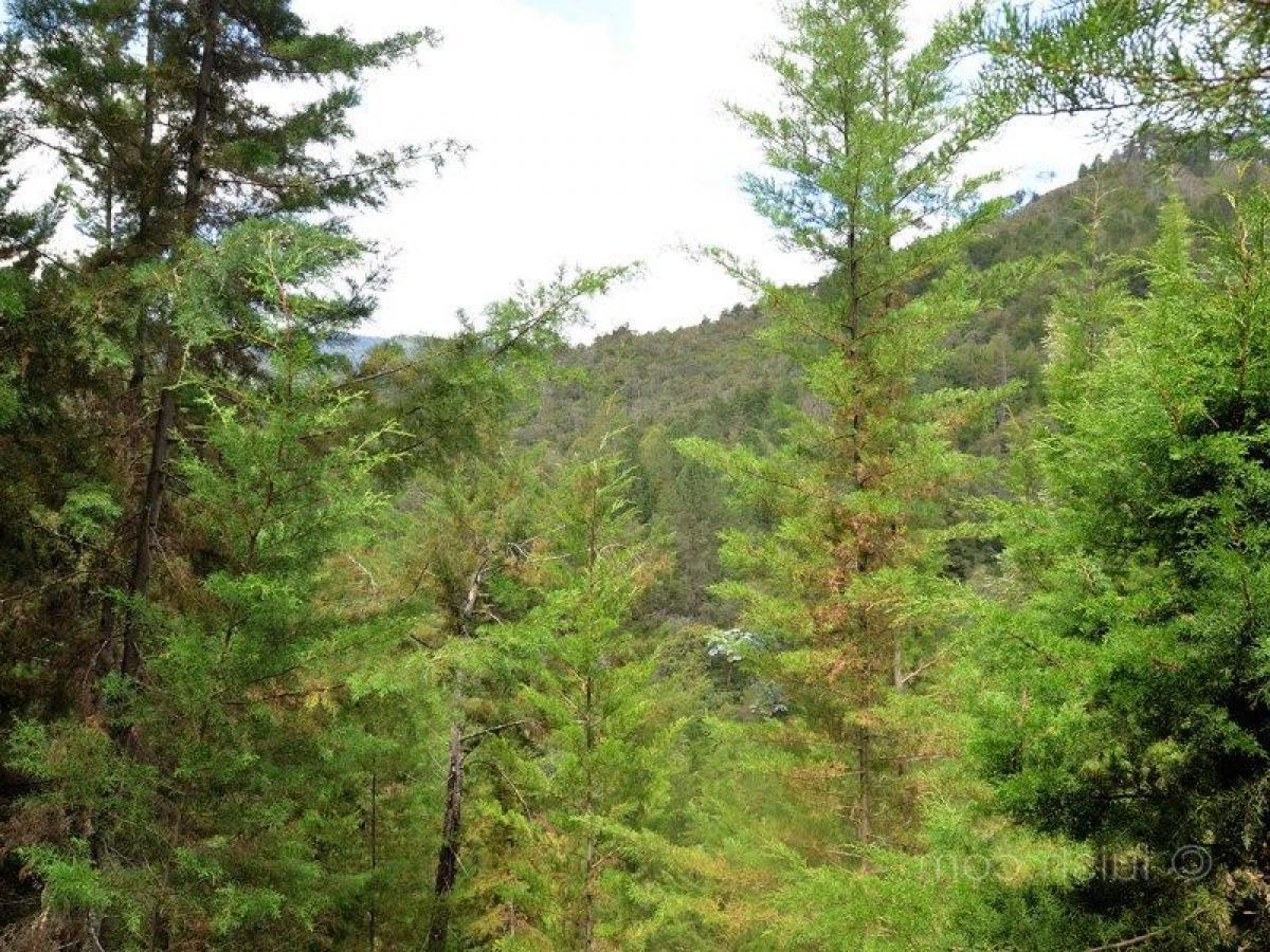 Terrain à Antioquia, Colombia No. 378