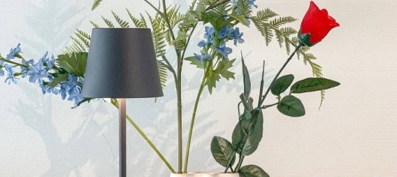 استوديو في Baden-Wurttemberg, Germany رقم 110459 39