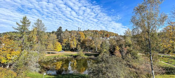 استوديو في Baden-Wurttemberg, Germany رقم 110459 17