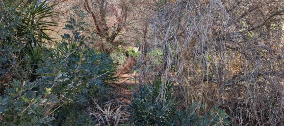  Land in Denia, Spain No. 138707 7