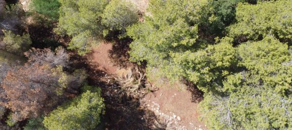  Land in Denia, Spain No. 138707 3