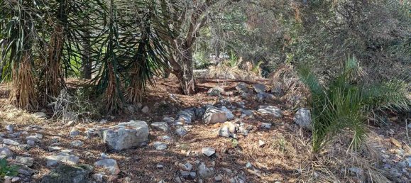  Land in Denia, Spain No. 138707 9