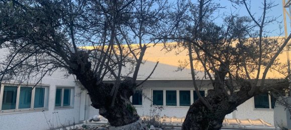 105m² Office in Castel Maggiore, Italy No. 227096 15