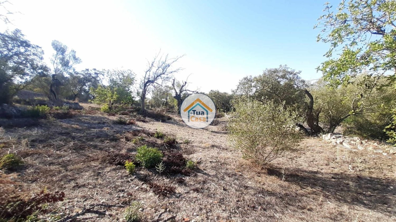  قطعة أرض في Sao Bras de Alportel, Portugal 7880متر مربع رقم 76286