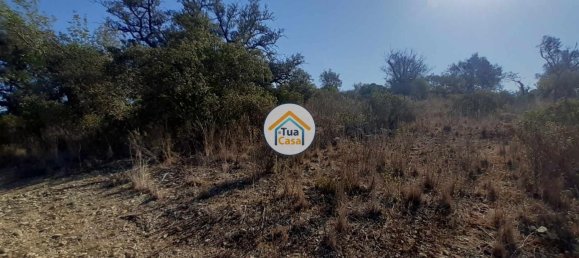 قطعة أرض في Sao Bras de Alportel, Portugal 7880متر مربع رقم 76286 14