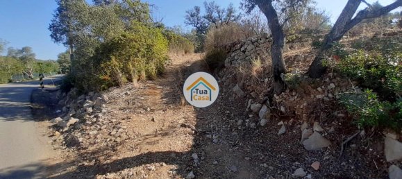 قطعة أرض في Sao Bras de Alportel, Portugal 7880متر مربع رقم 76286 7