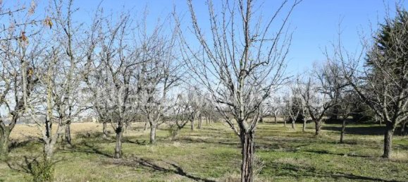 6 غرف نوم منزل في Jesi, Italy رقم 67638 24