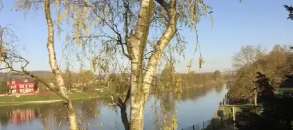 3 Schlafzimmer Wohnung in Essen, Germany, Nr. 354664 9