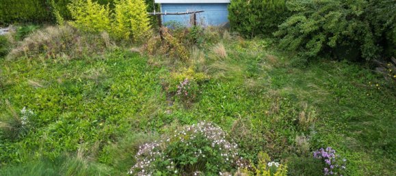 5 rooms House in Eichsfeld, Germany No. 283822 3