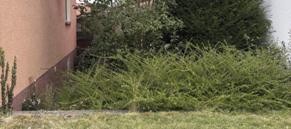 5 rooms House in Eichsfeld, Germany No. 283822 15