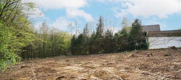 Земельный участок 1123м² в Пресбаум, Австрия № 150681 7