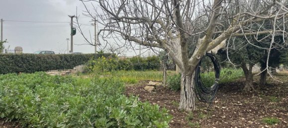 Estudio en Modica, Italy No. 45091 35