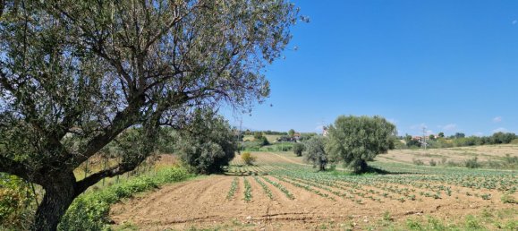 15166m² Land in Roseto degli Abruzzi, Italy No. 254662 3