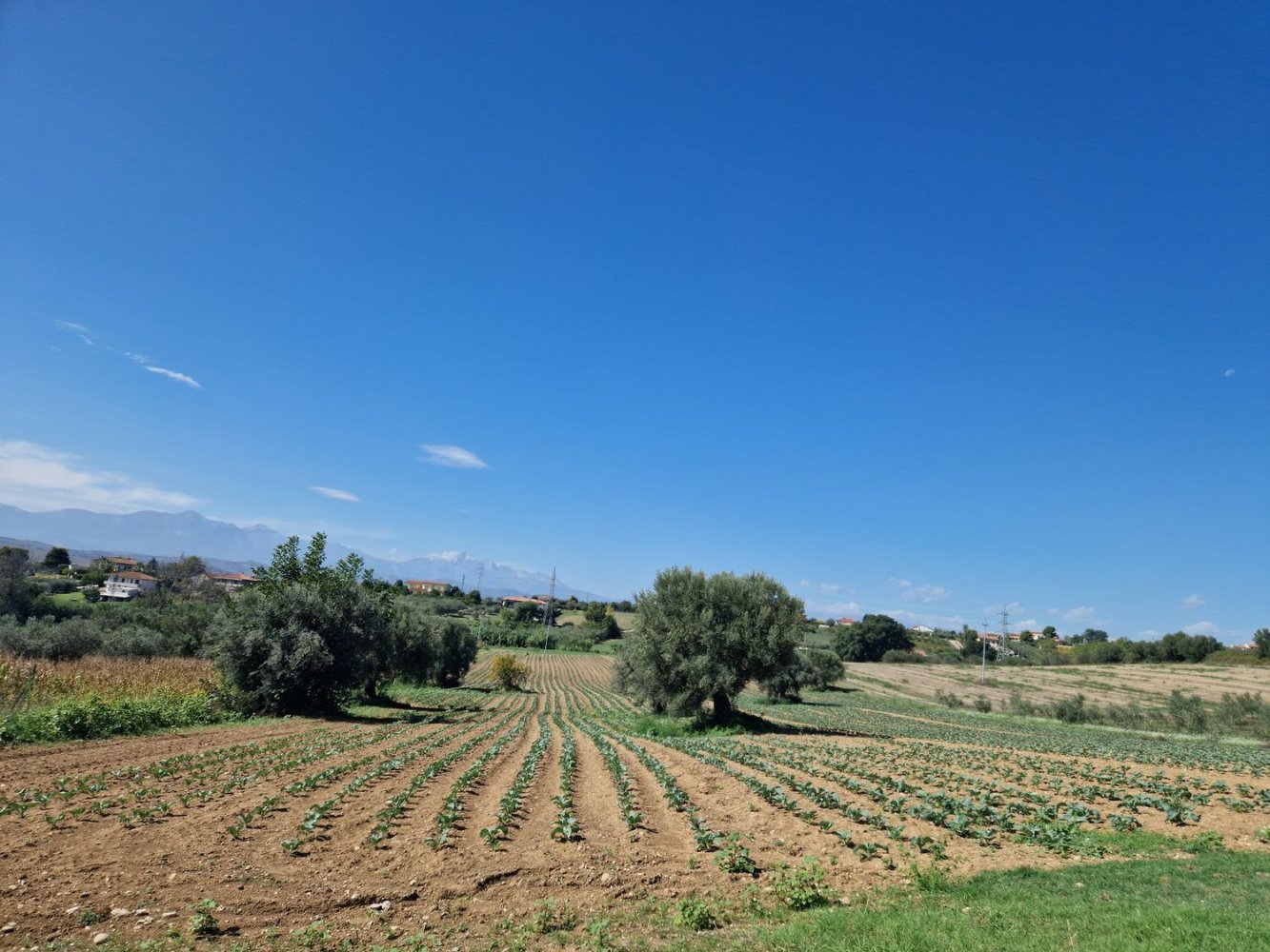 15166m² Land in Roseto degli Abruzzi, Italy No. 254662