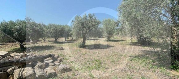 Grundstück in Santa Flavia, Italy 4200m², Nr. 267765 3