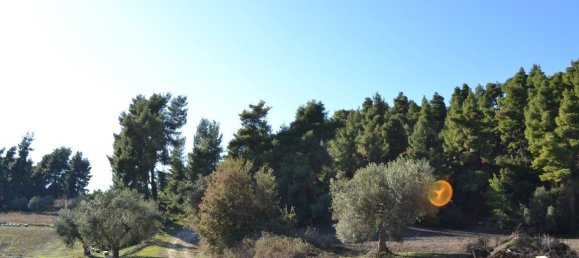 11738m² Hotel in Chalkidiki, Greece No. 5955 5