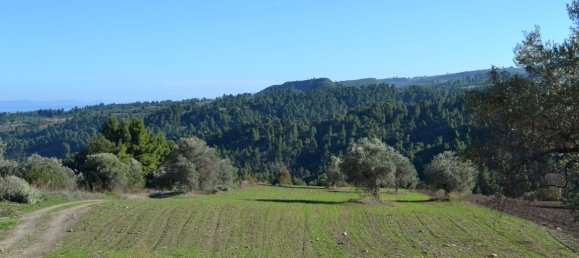 11738m² Hotel in Chalkidiki, Greece No. 5955 8