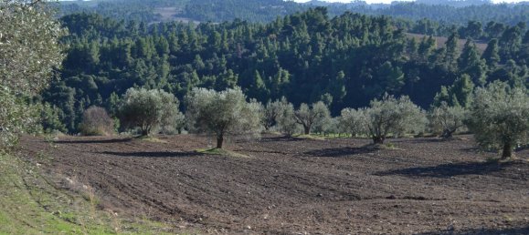 11738m² Hotel in Chalkidiki, Greece No. 5955 4