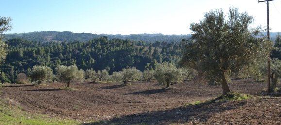 11738m² Hotel in Chalkidiki, Greece No. 5955 7