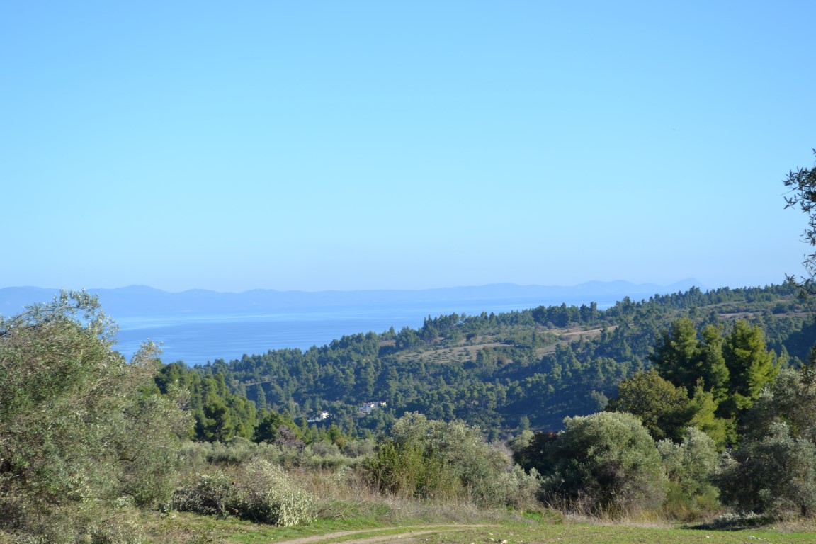 11738m² Hotel for sale in Chalkidiki, Central Macedonia, Macedonia and Thrace, Greece № 5955