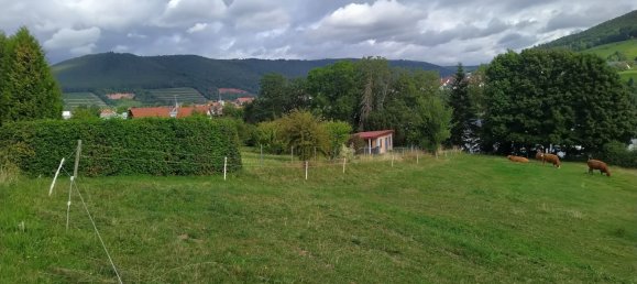 Terreno em Miltenberg, Germany 1000 m² N.º 332383 2