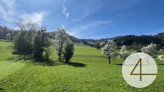  Land in Waidhofen an der Ybbs, Austria No. 112082