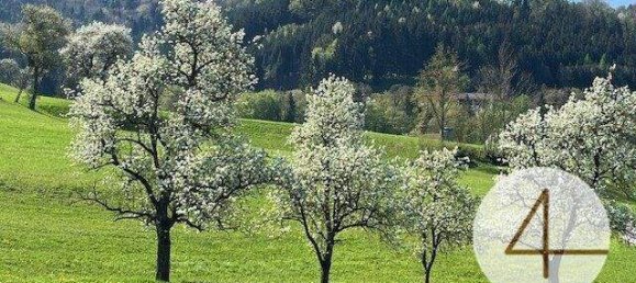  Land in Waidhofen an der Ybbs, Austria No. 112082 4