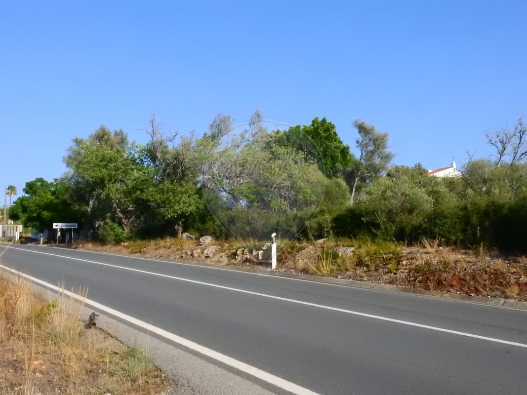 Grundstück in Sao Bartolomeu de Messines, Portugal 24480m², Nr. 38130