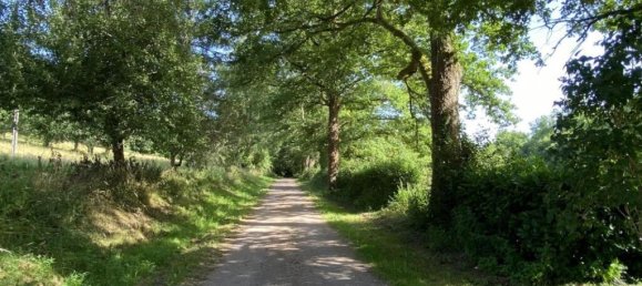 4 chambres Maison à Busserolles, France No. 339219 20