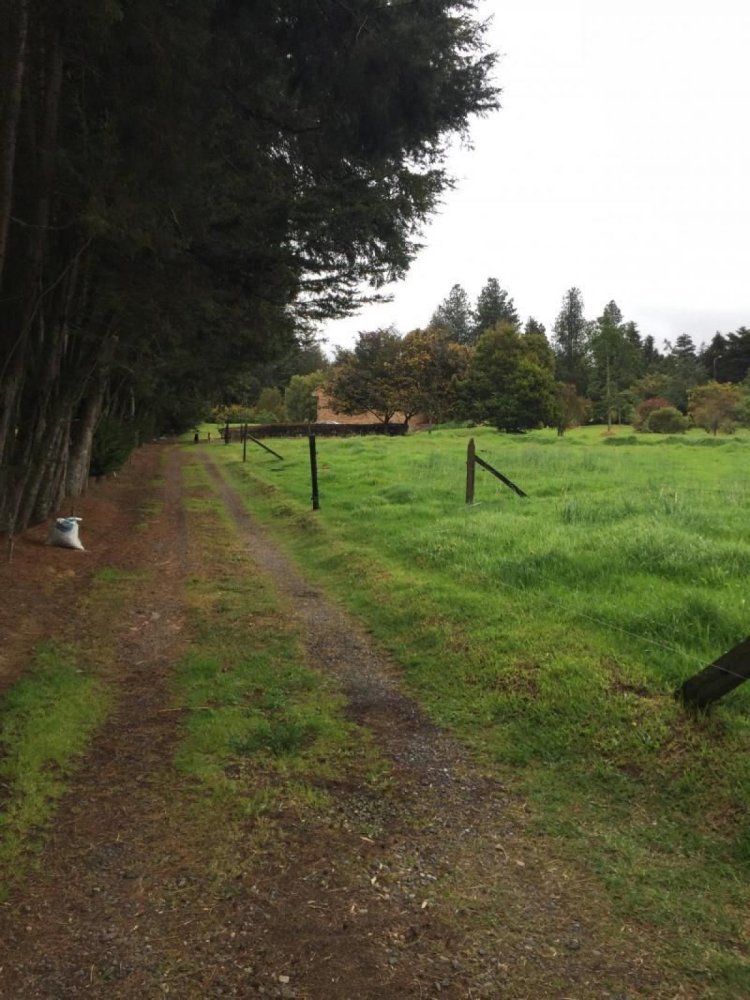 4 bedrooms House in Cundinamarca, Colombia No. 4519