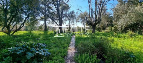 قطعة أرض في Grasse, France رقم 112796 6