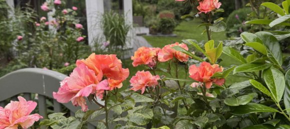 Casa de 3 dormitorios en Nordfriesland, Germany No. 217825 29