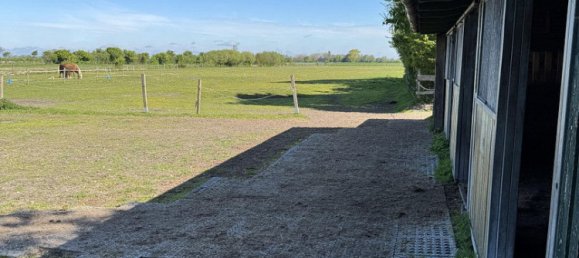 Casa de 3 dormitorios en Nordfriesland, Germany No. 217825 33