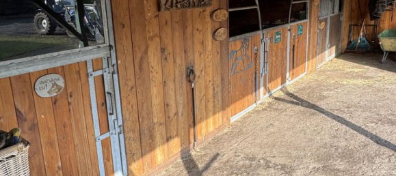 Casa de 3 dormitorios en Nordfriesland, Germany No. 217825 15