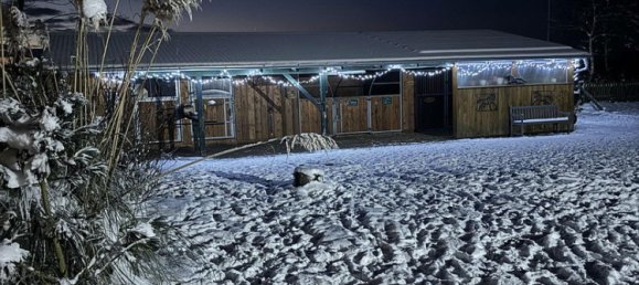 Casa de 3 dormitorios en Nordfriesland, Germany No. 217825 18