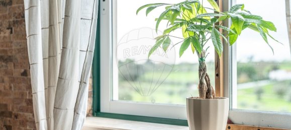 4 Schlafzimmer Haus in Santarem, Portugal, Nr. 26320 11