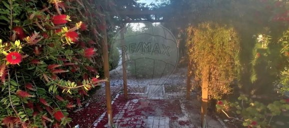 4 Schlafzimmer Haus in Santarem, Portugal, Nr. 26320 36