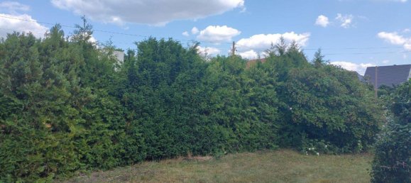  Land in Mahlsdorf, Germany No. 243306 7