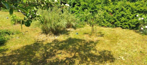  Land in Mahlsdorf, Germany No. 243306 8