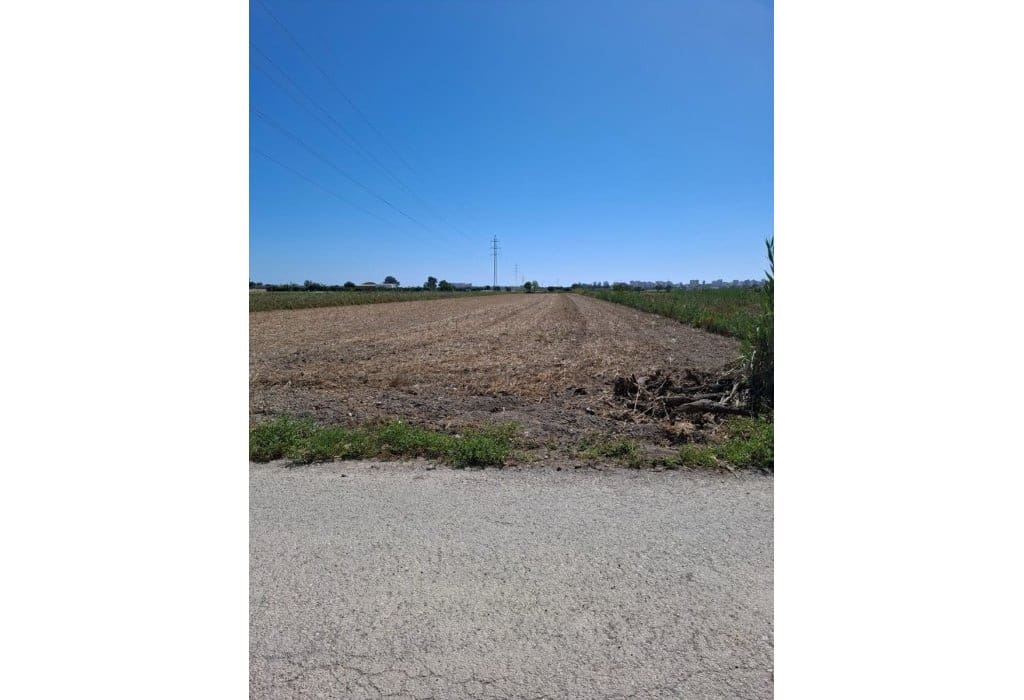  Land in Guardamar del Segura, Spain No. 223274