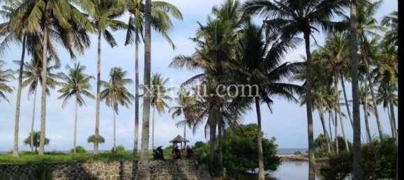 Terrain à West Nusa Tenggara, Indonesia 2400m² No. 3905 11